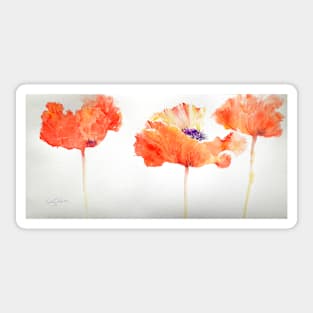 Poppy Trio Sticker